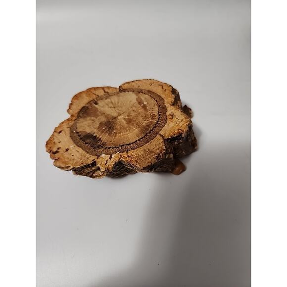 VTG Souvenir Ash Tray Tercera Acoures Mexico Burl Wood - Picture 7 of 7
